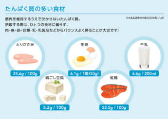 たんぱく質の多い食材