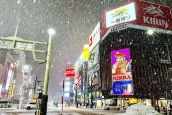 すすきのイメージ