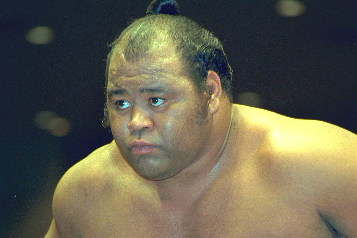 「30歳を超えても衰えを感じさせず…」 元幕内・戦闘竜、粘り強く戦った15年【追悼】 | デイリー新潮