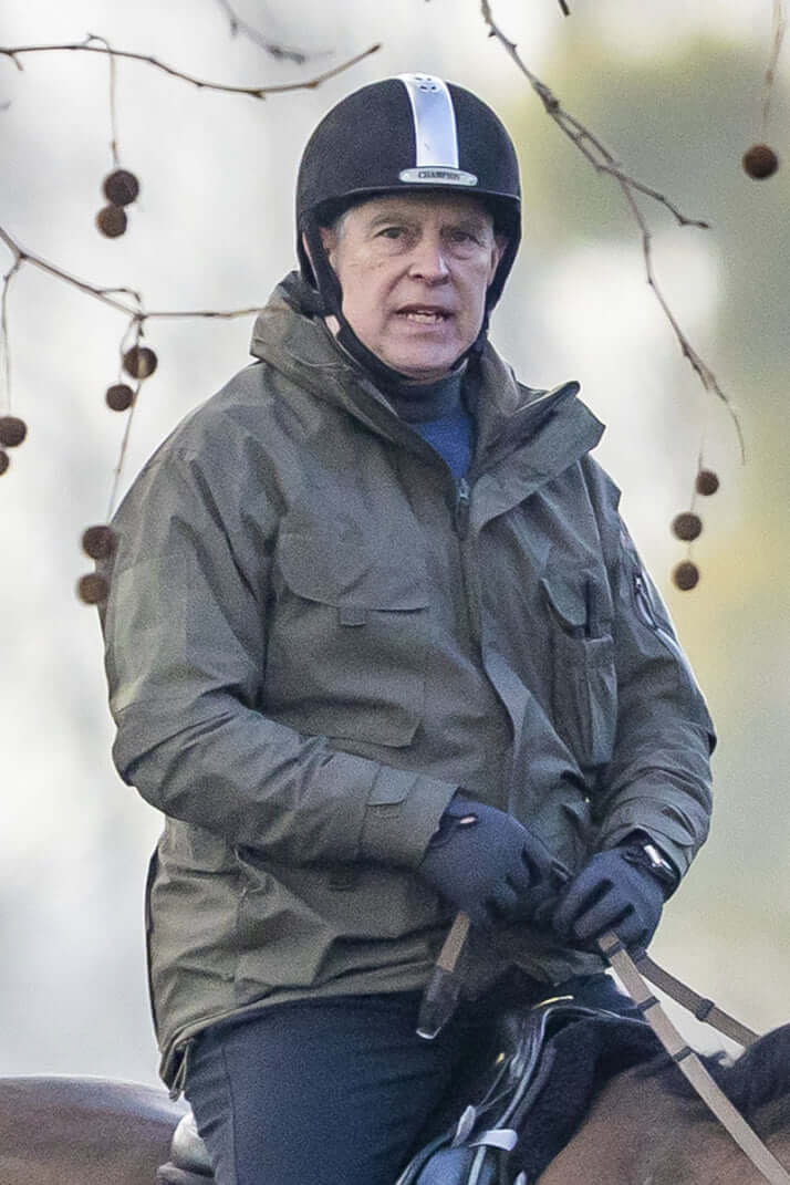 アンドリュー王子