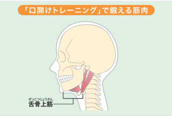 口開けトレーニング