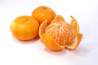 みかんイメージ