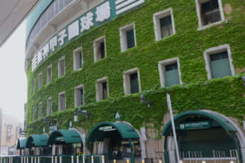甲子園球場イメージ