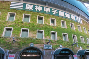 甲子園球場イメージ