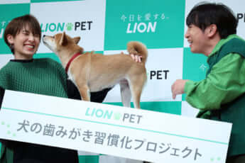 南明奈、濱口優