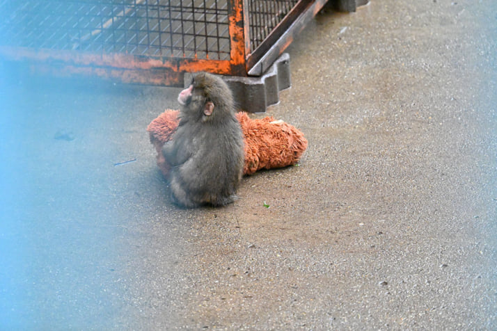 26年12号グラビア パンチくん_2