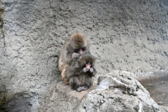 26年12号グラビア パンチくん_4