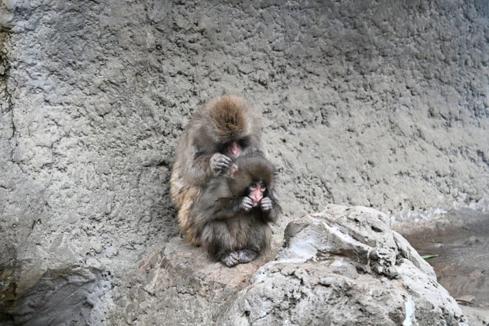 26年12号グラビア パンチくん_4