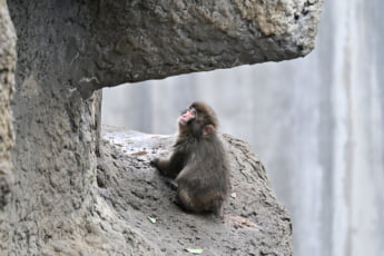 26年12号グラビア パンチくん_7