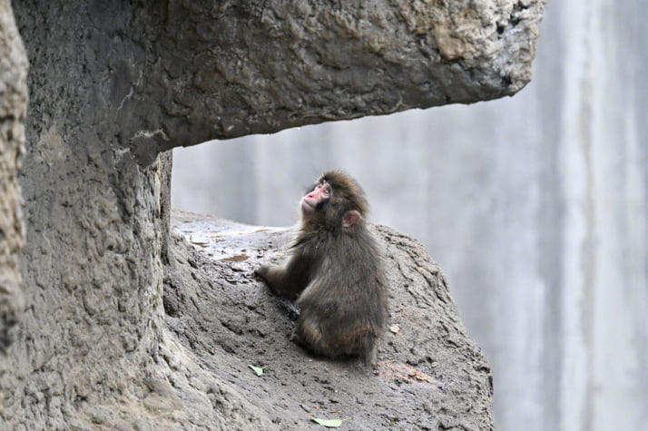 26年12号グラビア パンチくん_7