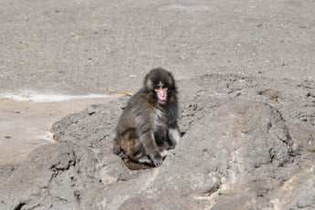 26年12号グラビア パンチくん_8
