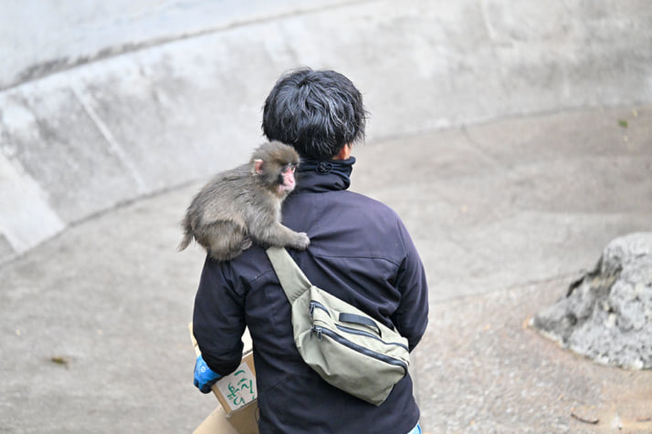 26年12号グラビア パンチくん_9