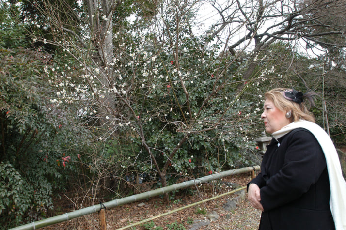 フジコ・ヘミング4