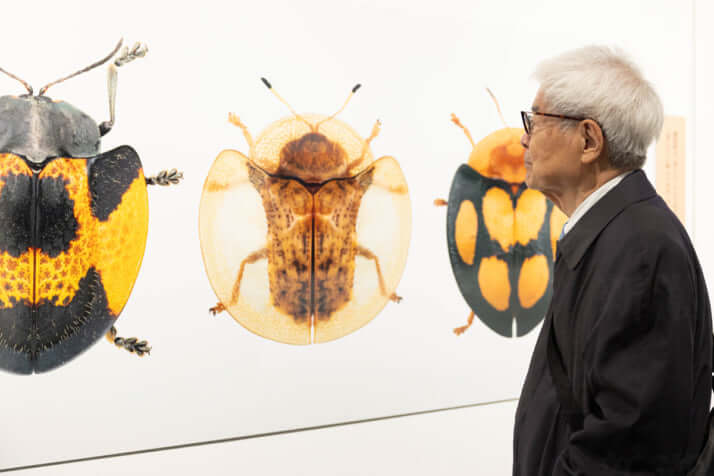 「養老孟司と小檜山賢二の虫展」