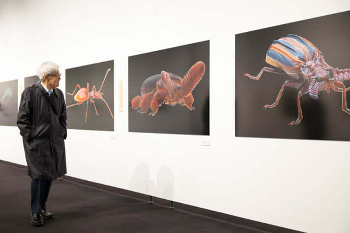 「養老孟司と小檜山賢二の虫展」