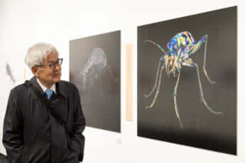 「養老孟司と小檜山賢二の虫展」