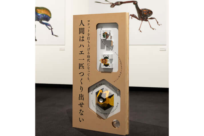 「養老孟司と小檜山賢二の虫展」