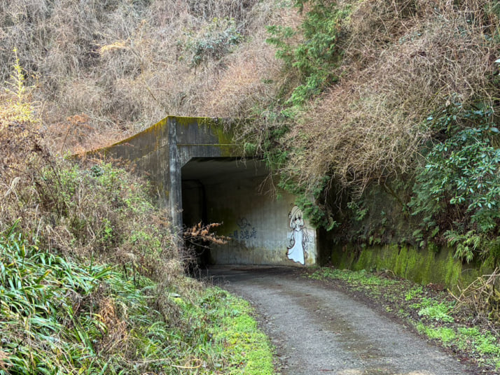 ふもふもこいし1