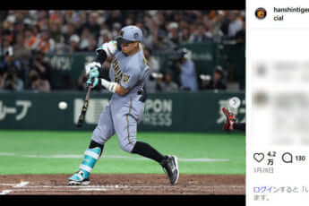 佐藤輝明_阪神_insta_eye