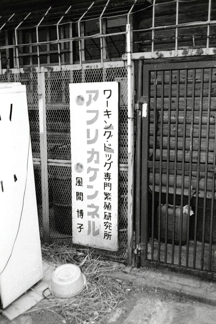 埼玉愛犬家連続殺人11