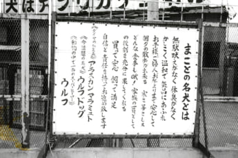 埼玉愛犬家連続殺人12