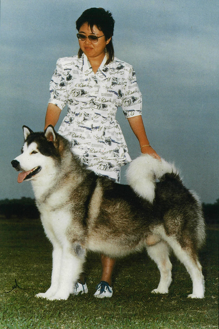 埼玉愛犬家連続殺人6