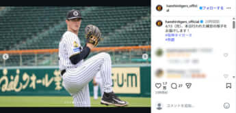 阪神タイガース_4