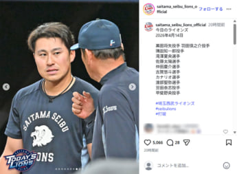 西武ライオンズ8