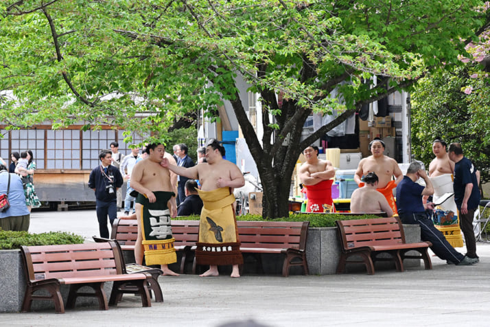 26年15号グラビア 相撲_2