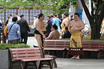 26年15号グラビア 相撲_3