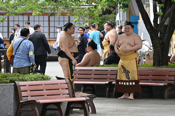 26年15号グラビア 相撲_3