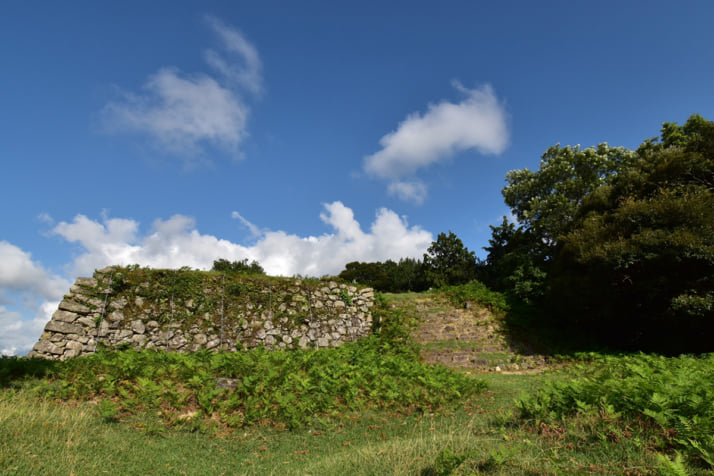 有子山城跡イメージ