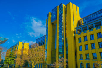 青山学院大学イメージ