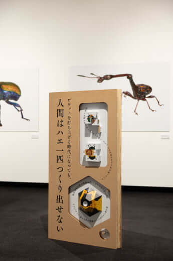 「虫展」展示
