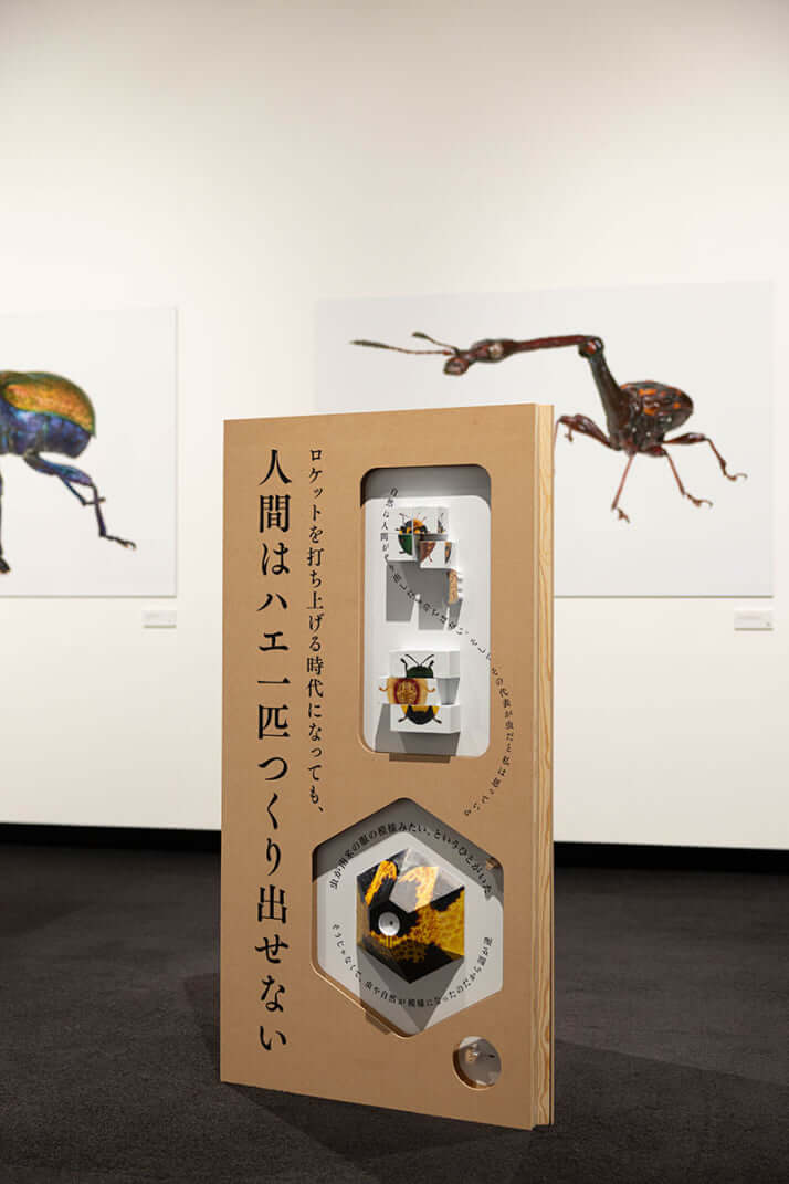 「虫展」展示