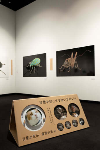 「虫展」展示