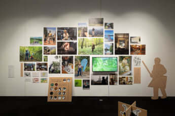 「虫展」展示