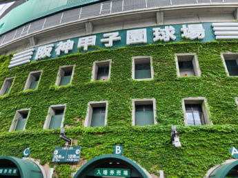 甲子園球場イメージ