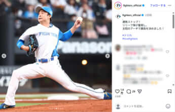 日本ハムファイターズ5