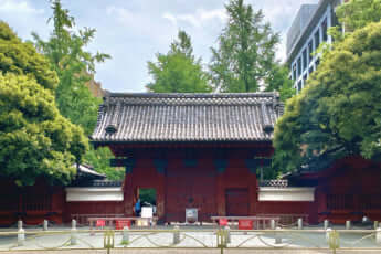 東京大学イメージ