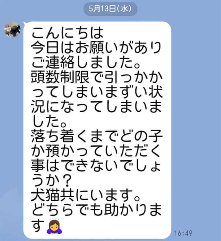 「保護犬猫の家　ななちゃんのおうち」HP