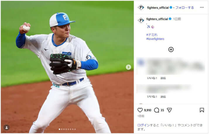 日本ハム_2