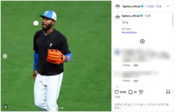 日本ハム_9