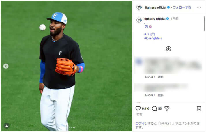 日本ハム_9