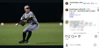 阪神タイガース2