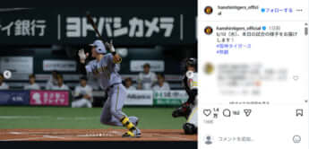 阪神タイガース5
