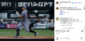 阪神タイガース7