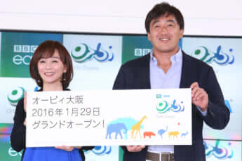 木佐彩子、石井一久