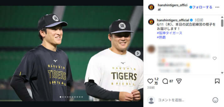阪神タイガース1