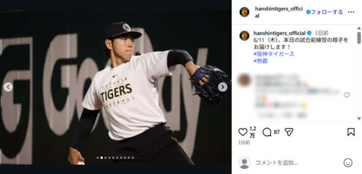 阪神タイガース2